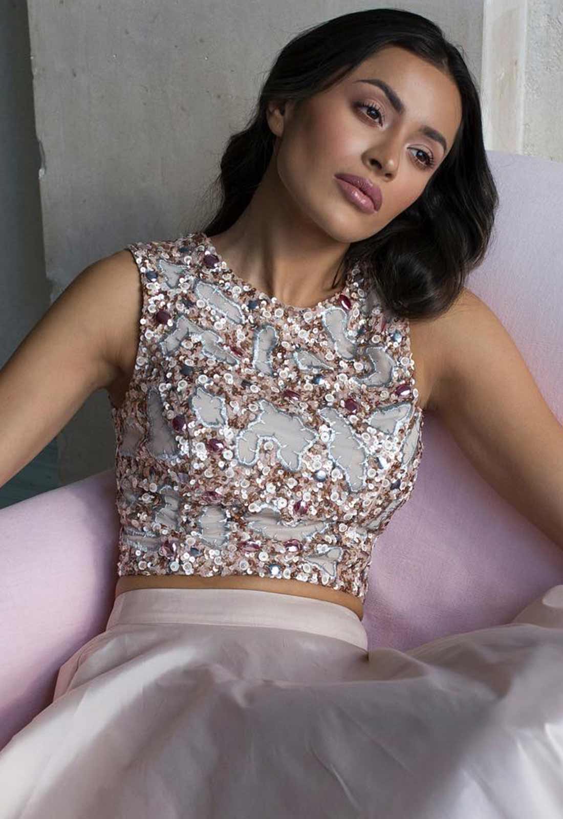 Raishma Embellished Crop Top in Blush