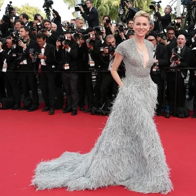 Cannes Film Festival Red Carpet Glamour