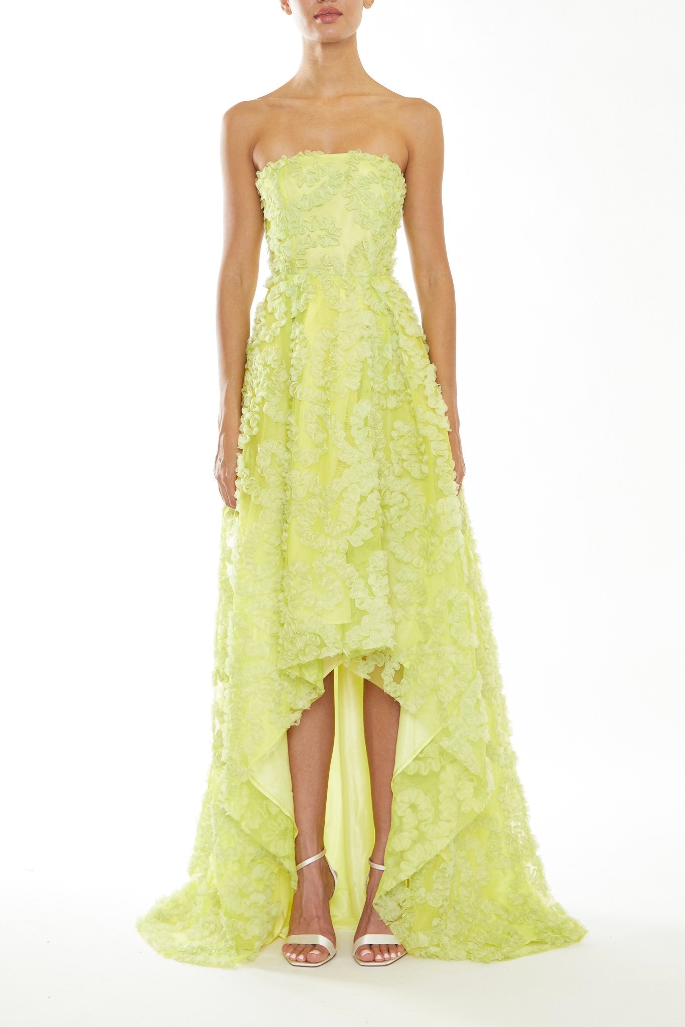 Eden Apple Green Applique Strapless Hi-Low Dress-image-1
