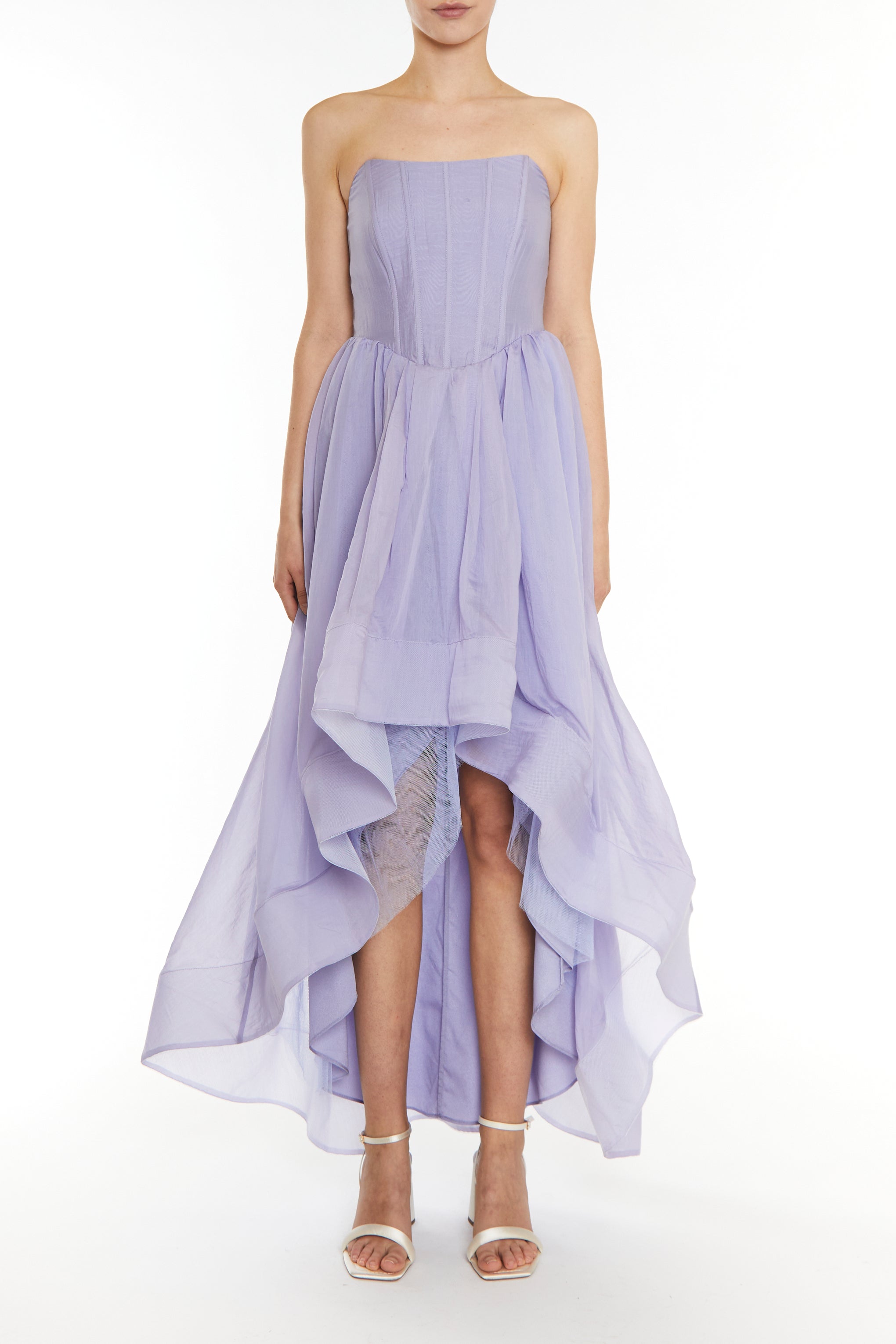 Winnie Hydrangea Corset Style Hi-Low Dress-image-1